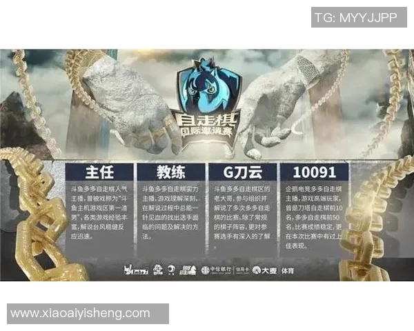 法国与阿根廷的对决BBC全方位解析精彩赛事背后的故事与数据